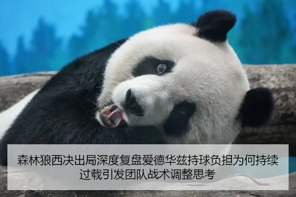 森林狼西决出局深度复盘爱德华兹持球负担为何持续过载引发团队战术调整思考